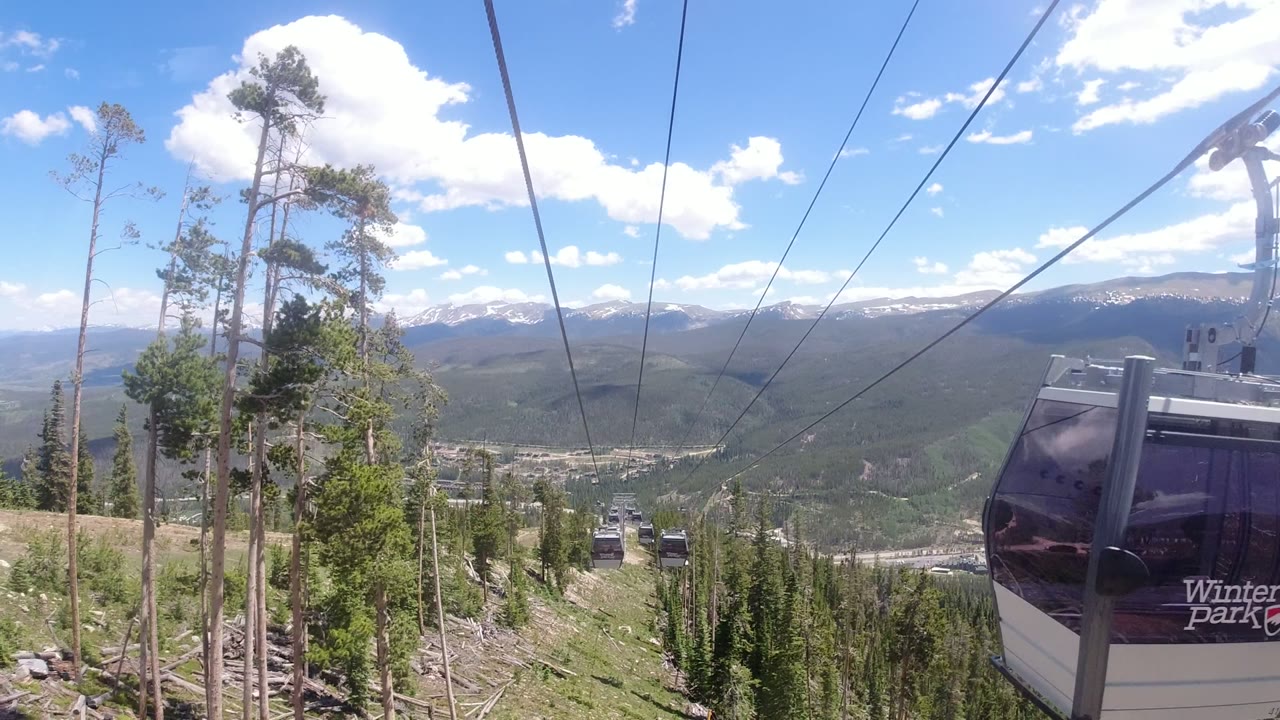 Gondola cables over trees with mountains and valley in the distance