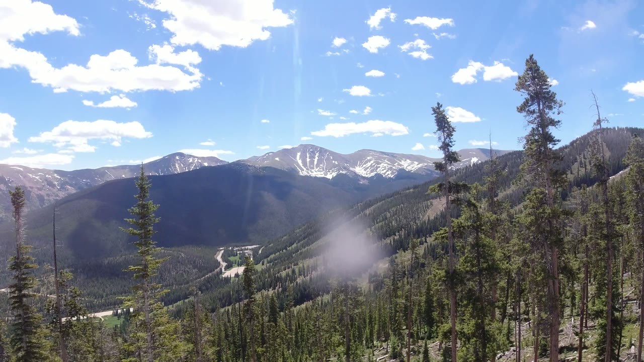 Forested mountain valley with evergreen trees and snow-dusted peaks under blue sky.