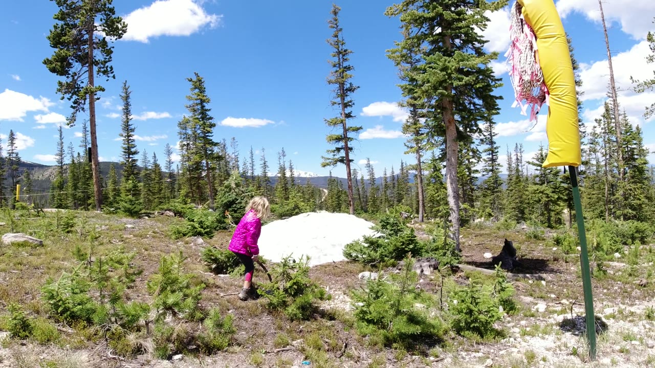 A young blonde girl in a magenta jacket walks across rocky ground in a Winter Park, Colorado forest clearing, with a snow patch, conifers, and mountains in view.