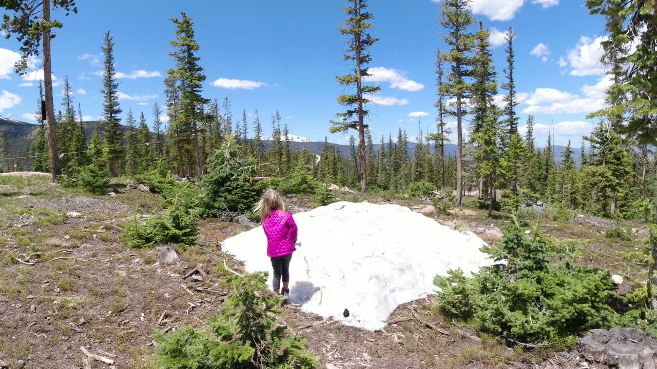 Young girl in a pink jacket stands near a snow patch in a conifer forest.