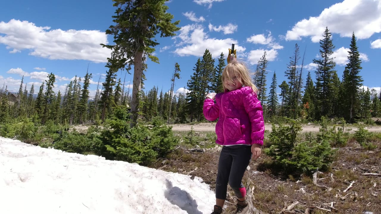 Young girl in a pink jacket standing beside snow and pine trees.