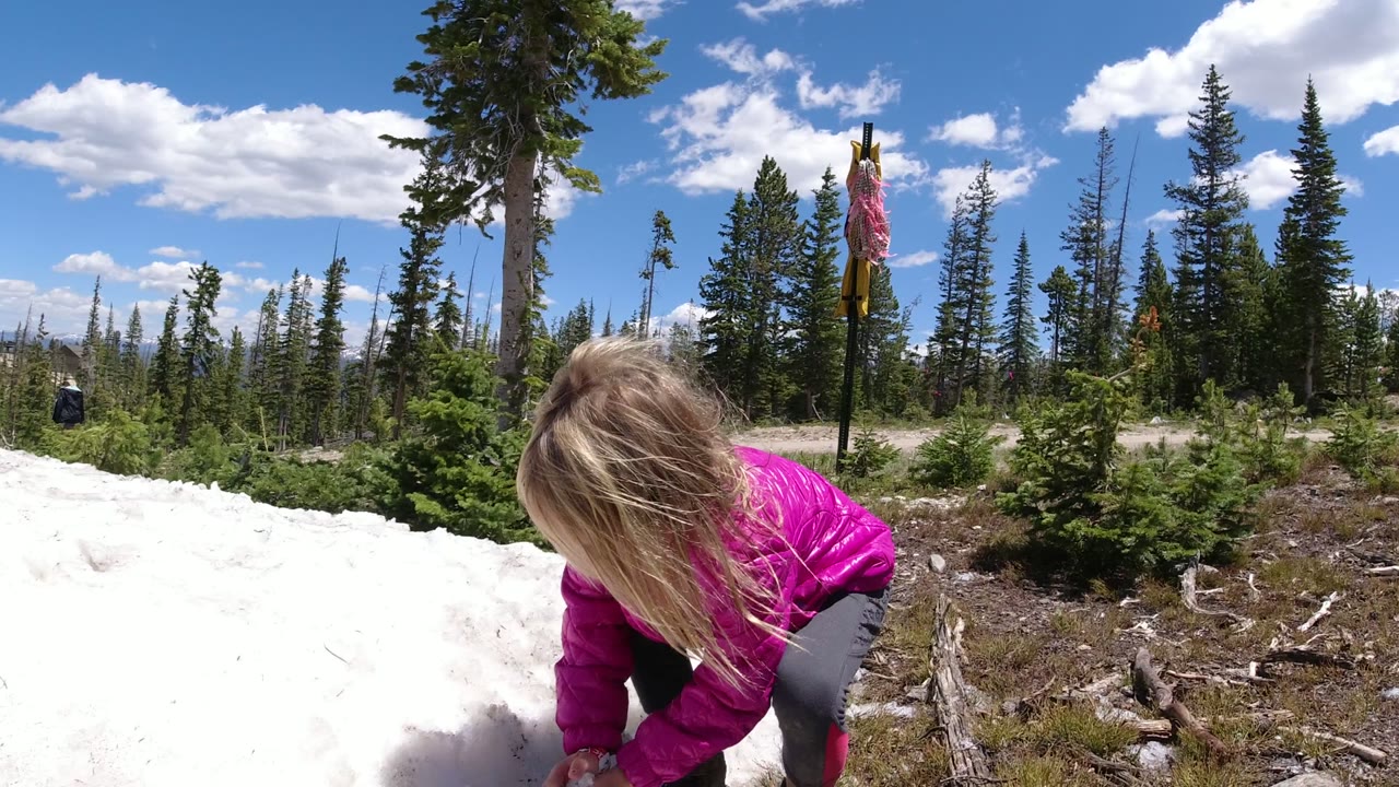 Blonde child crouching by snow in a pink jacket near evergreen trees.