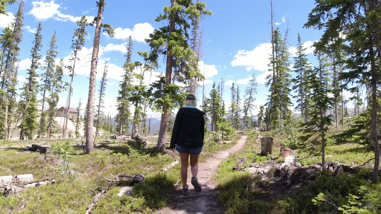 Person walking away on a narrow forest trail with tall trees.