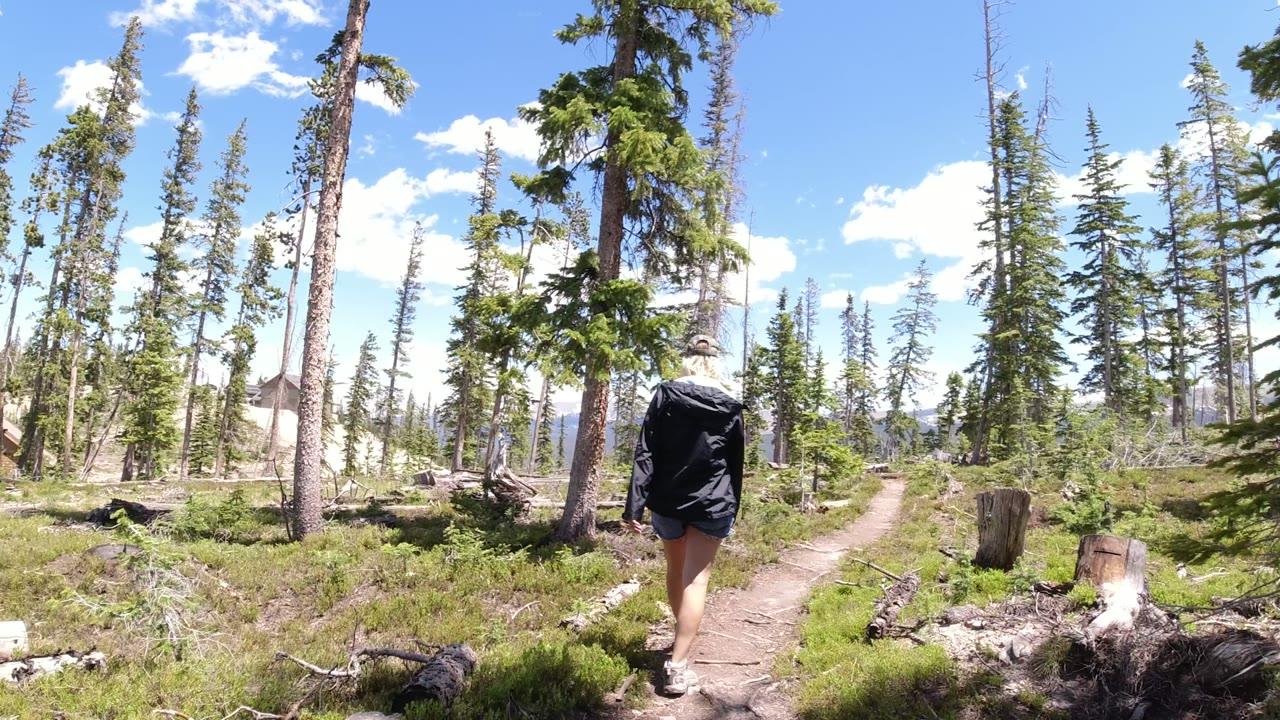 The walker continues down the narrow path in Winter Park, Colorado, framed by evergreen trunks, low brush, cut stumps, and patches of sunlit trail.