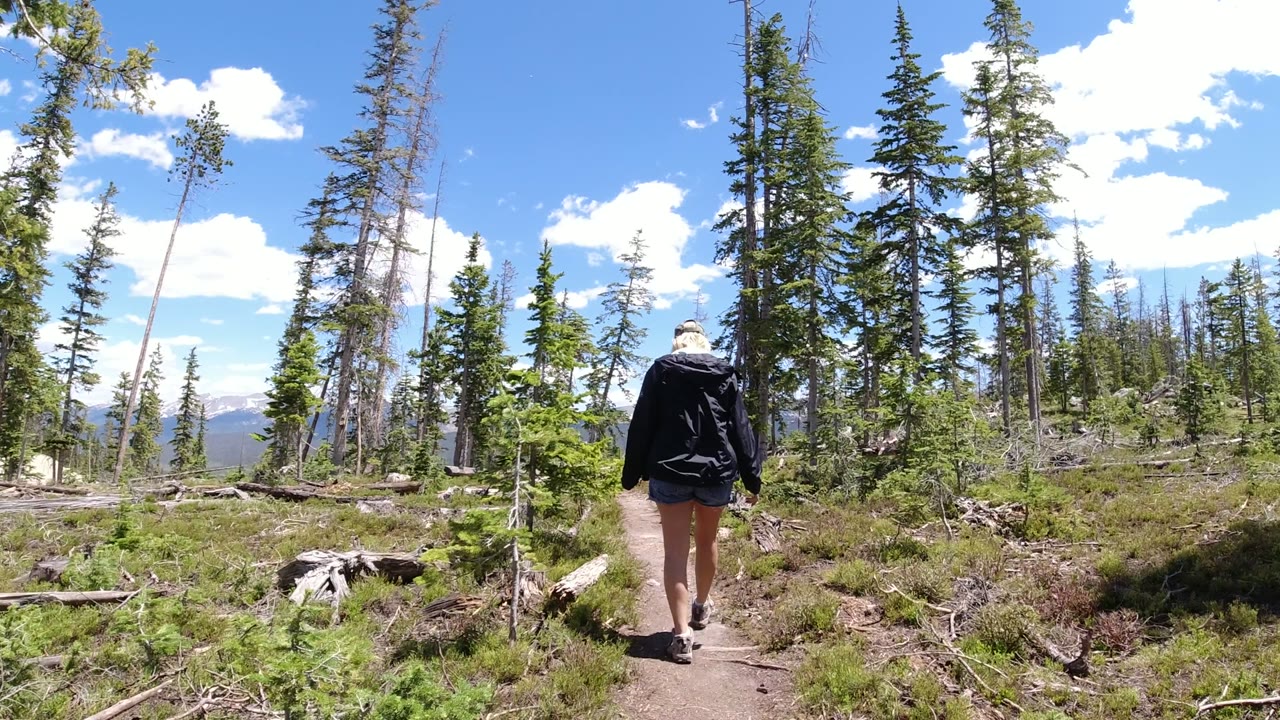 At 0:01, the woman continues down the Winter Park forest path, framed by tall conifers, low shrubs, cut stumps, and bright cloud patches over the distant horizon.