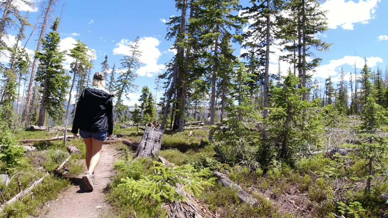 A woman walks away from camera on a narrow dirt trail through sunlit woods in Winter Park, Colorado, with fallen logs and tall trees around her.