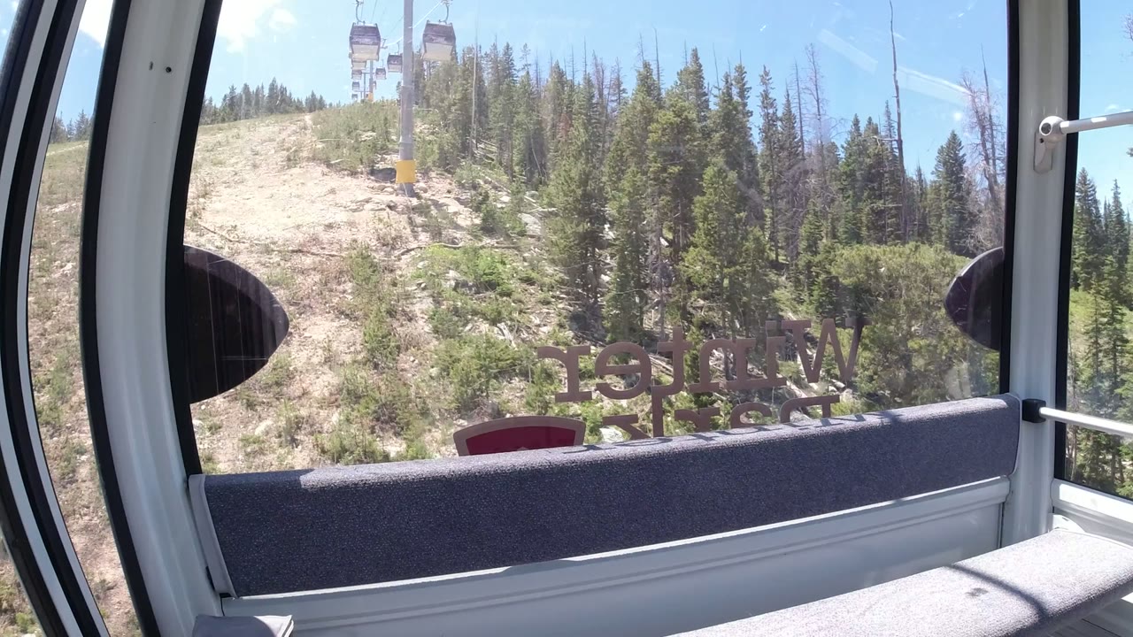 Gondola window view of a forested mountain slope and lift tower.
