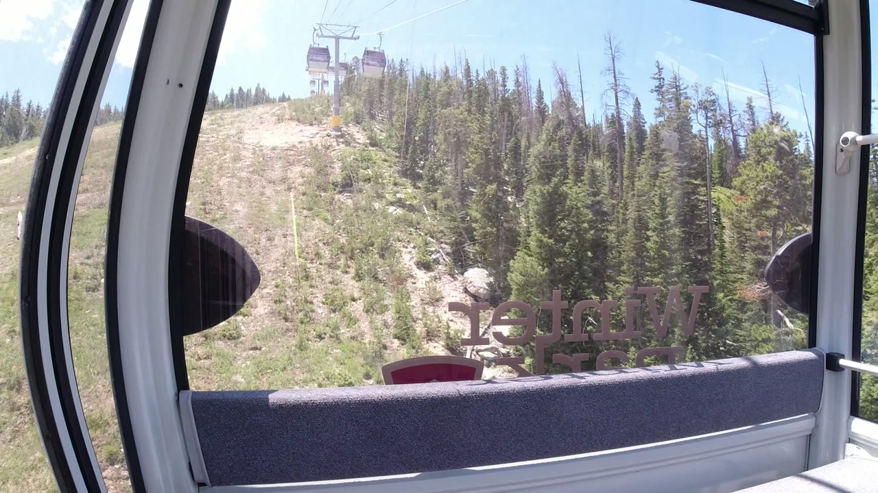 Gondola window view of pine hillside and distant cable cars.
