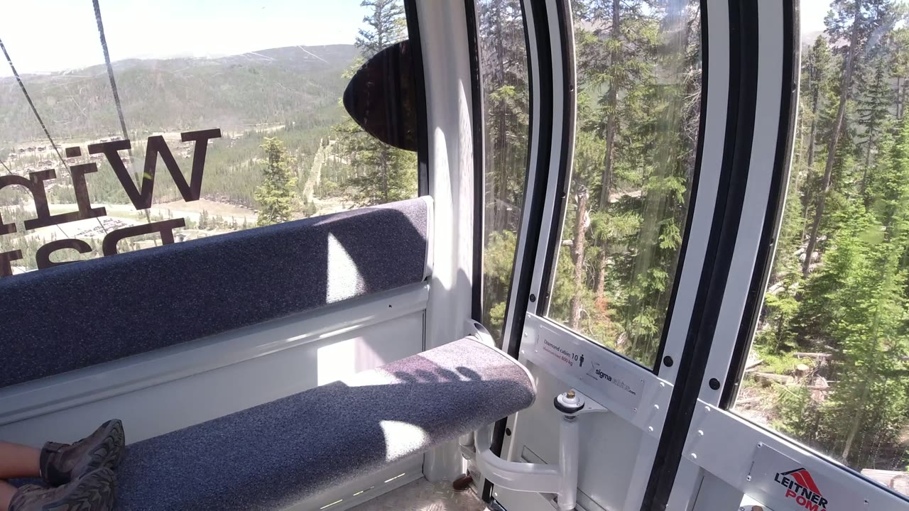Gondola cabin bench with pine forest and hills outside the windows.