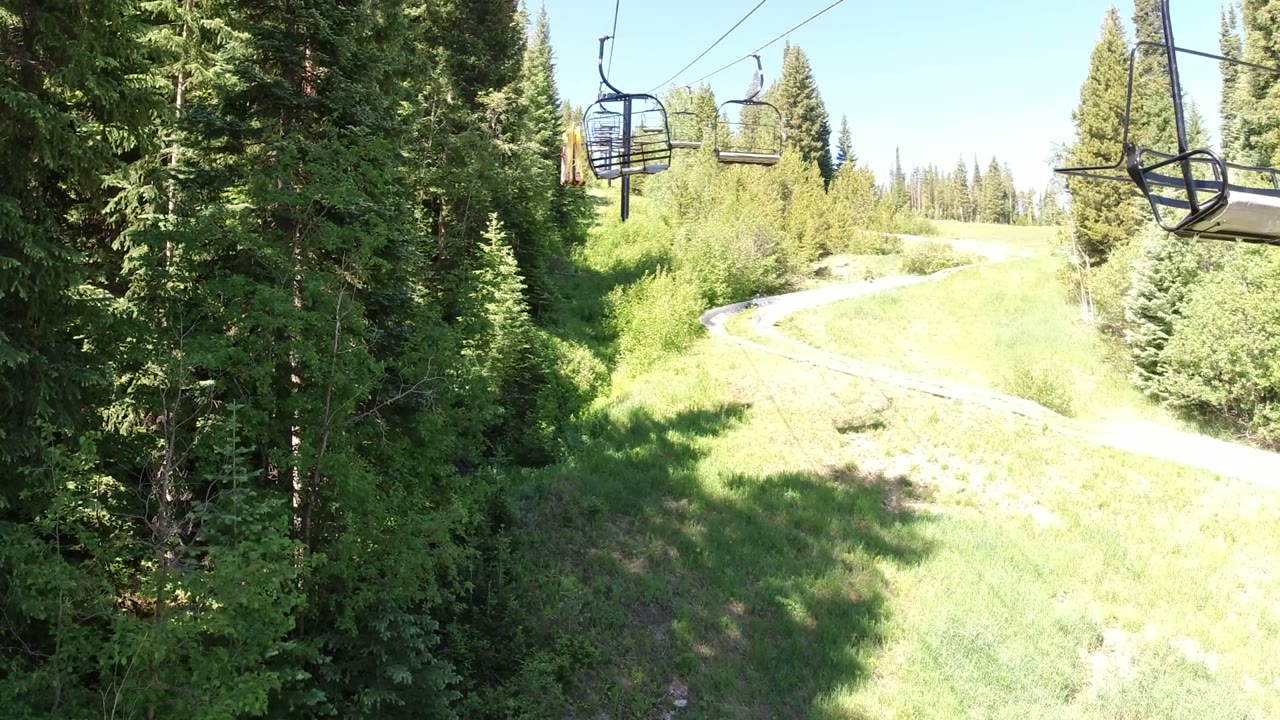 Chairlift cables above a green forested slope.