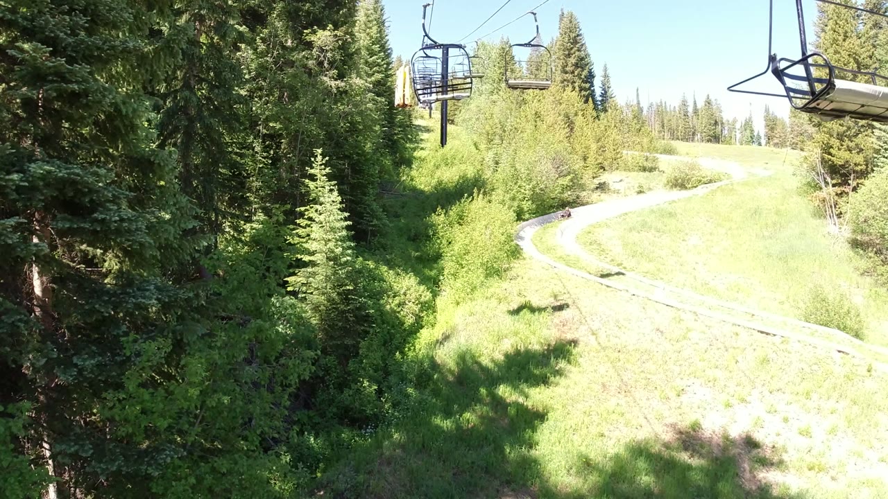 Empty chairlift over a sunny grassy slope and evergreen trees.