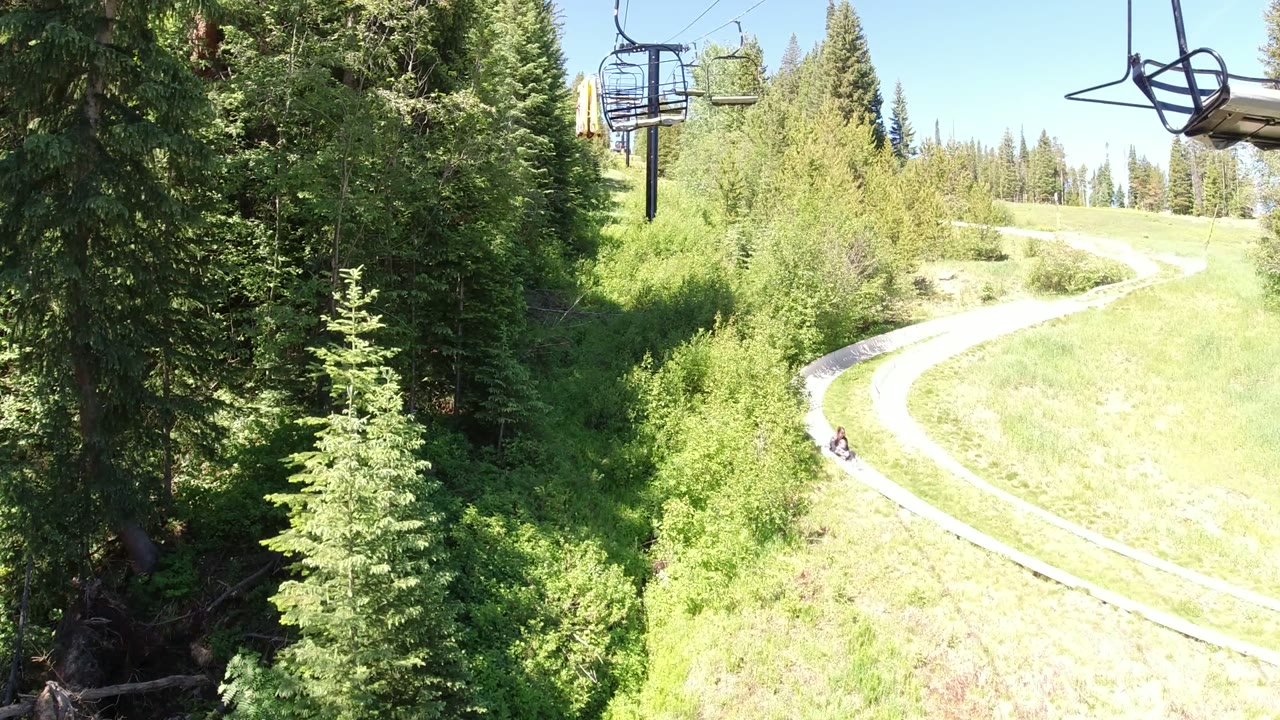 Grassy hillside with pine trees, chairlift seats, and a curved track.