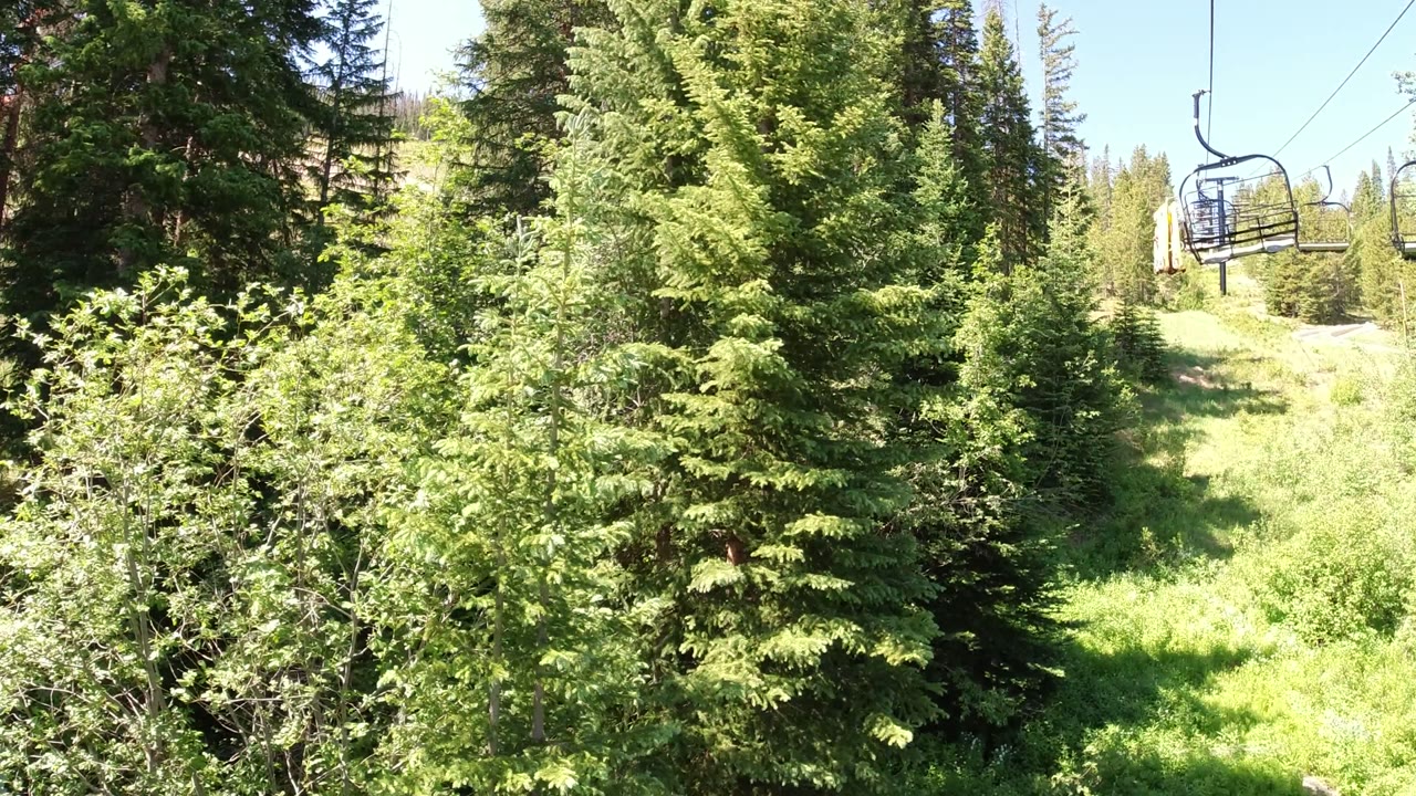 One second in, the Winter Park, Colorado view is filled by evergreen branches and bright brush, with lift chairs and cables partly visible above the slope and no visible people.
