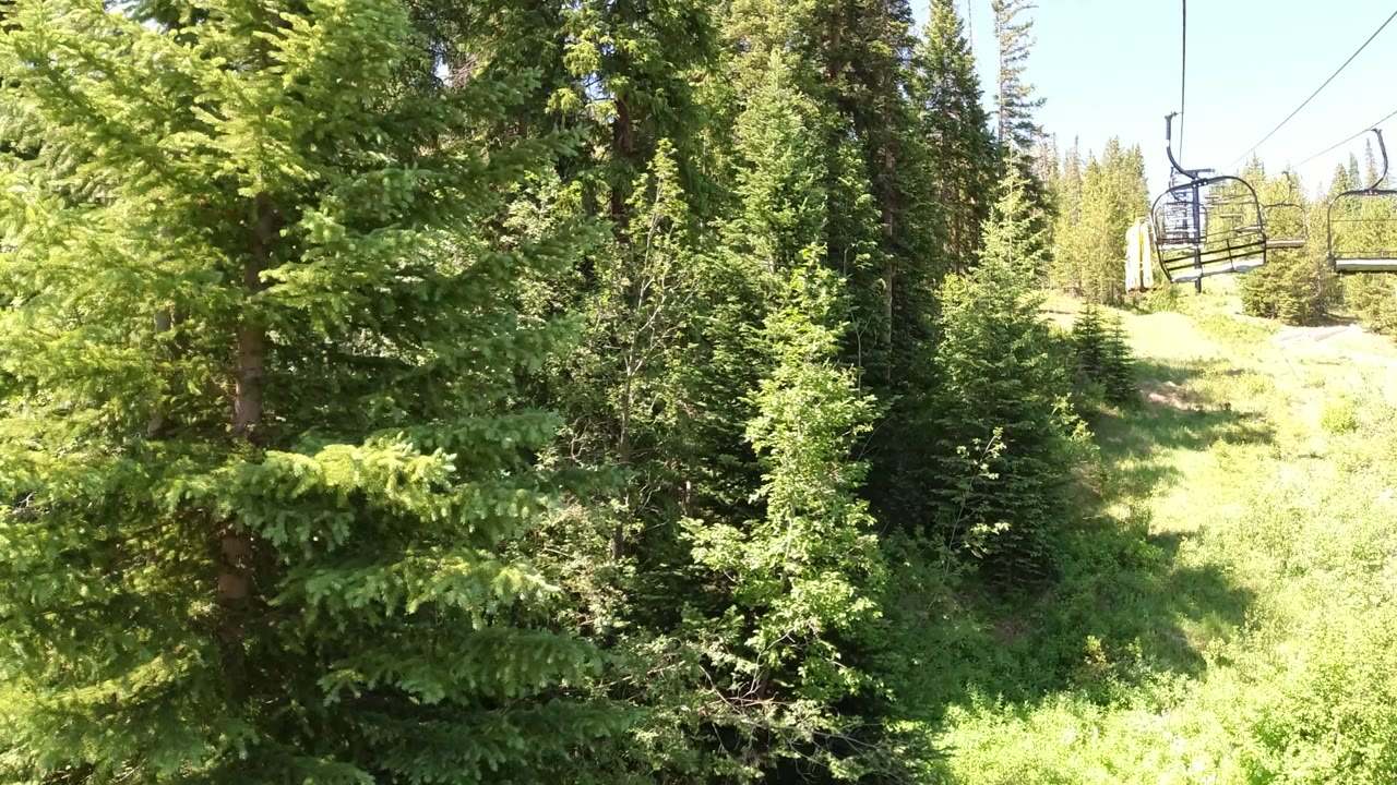 Chairlift cables over dense green trees and a sunlit slope.