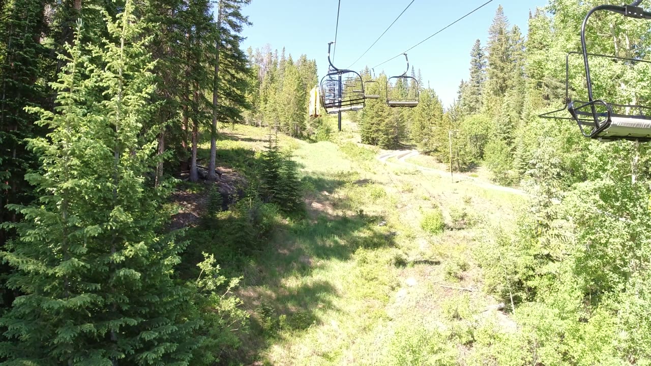 Empty chairlift over green slope and evergreen trees