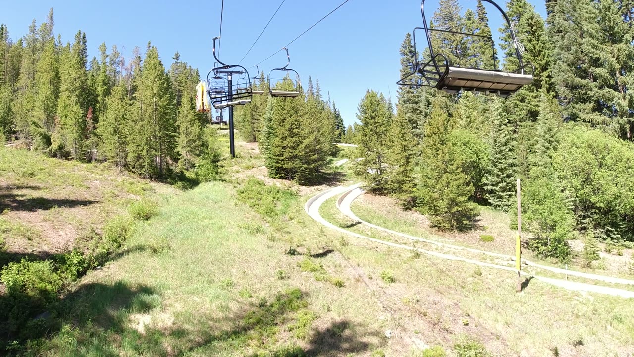 Evergreen forest with chairlift chairs above a curving track