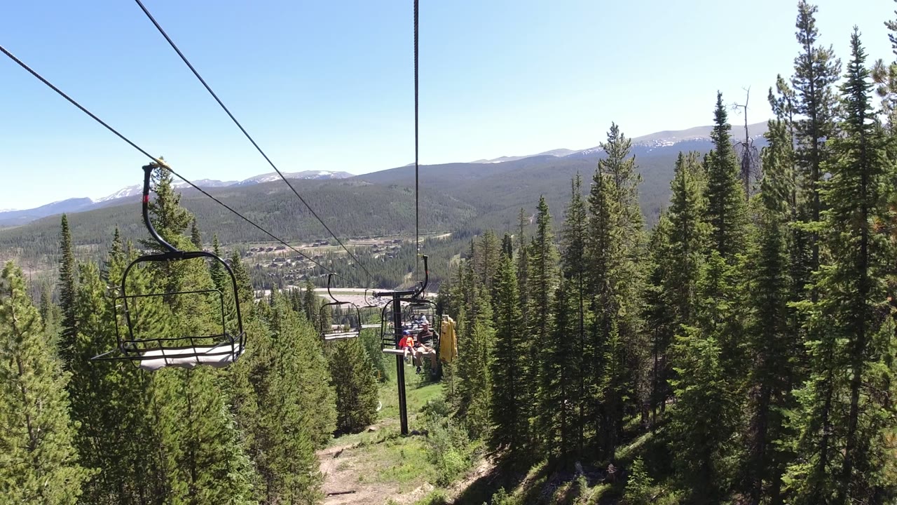 Chairlift cables over pine forest with distant mountains