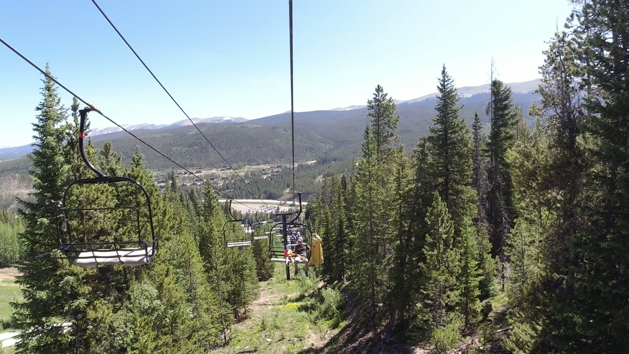 Chairlift cable above pine trees with distant mountains.
