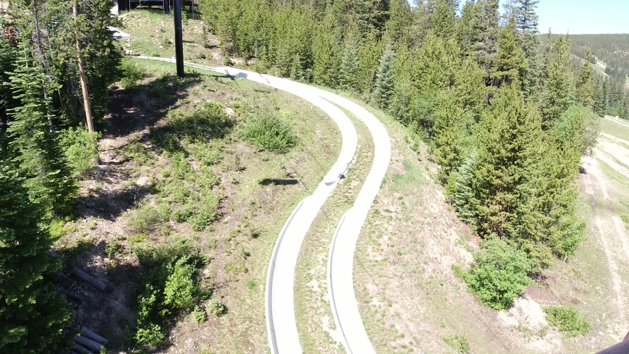 Elevated view of a winding pale path through evergreen trees on a mountain slope.