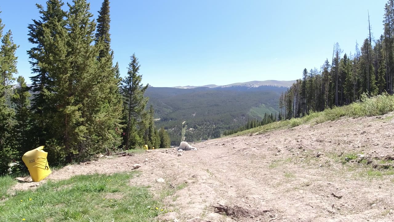 Second frame in Winter Park, Colorado showing the same wide trail overlook with a large evergreen near center-left, dead tree trunks at right, distant hills, and no visible people.