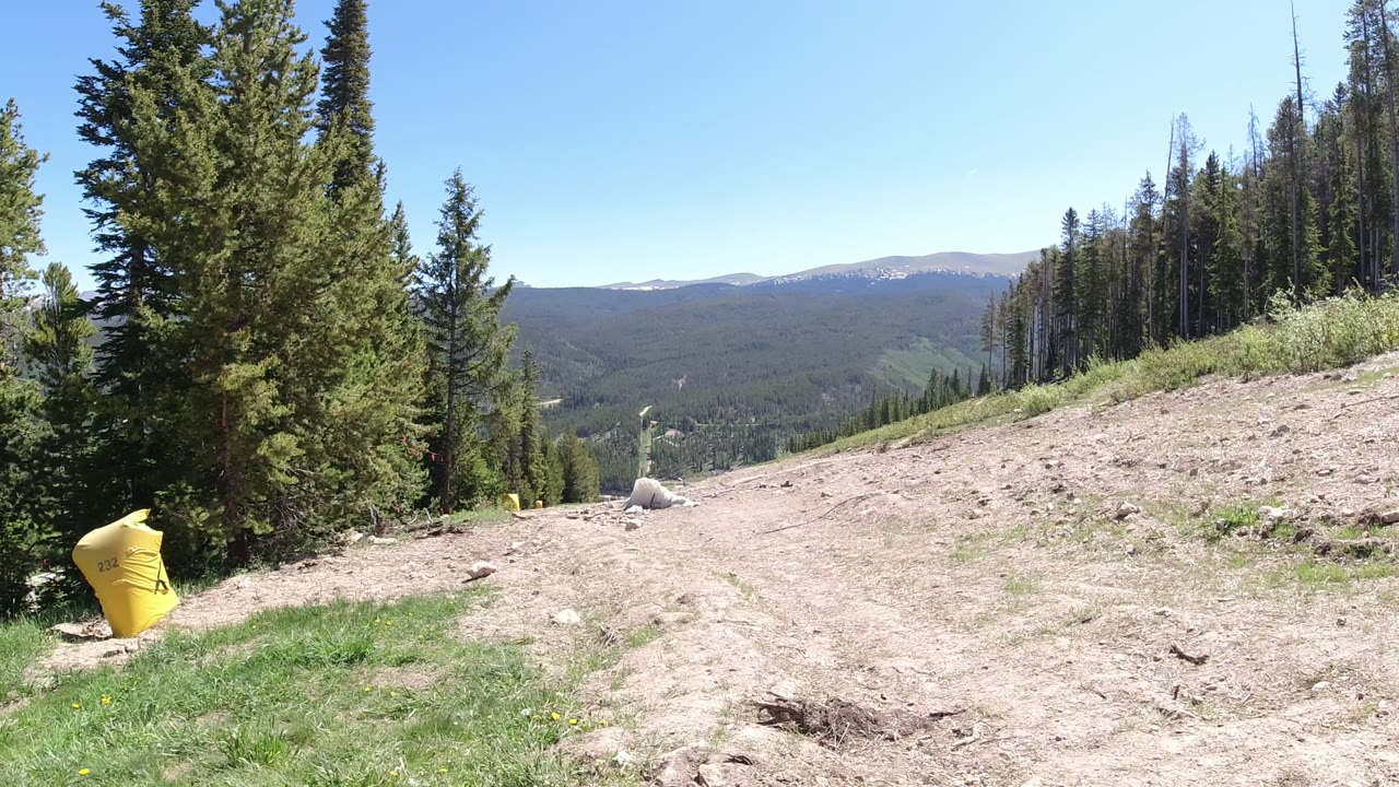Dirt roadside pullout with evergreen trees and distant mountains under blue sky.