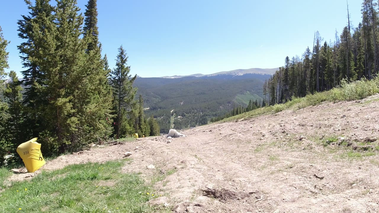 Winter Park, Colorado frame with tall evergreens on the left, bare dirt road in the foreground, forested slopes beyond, pale mountain ridges, and no visible people.