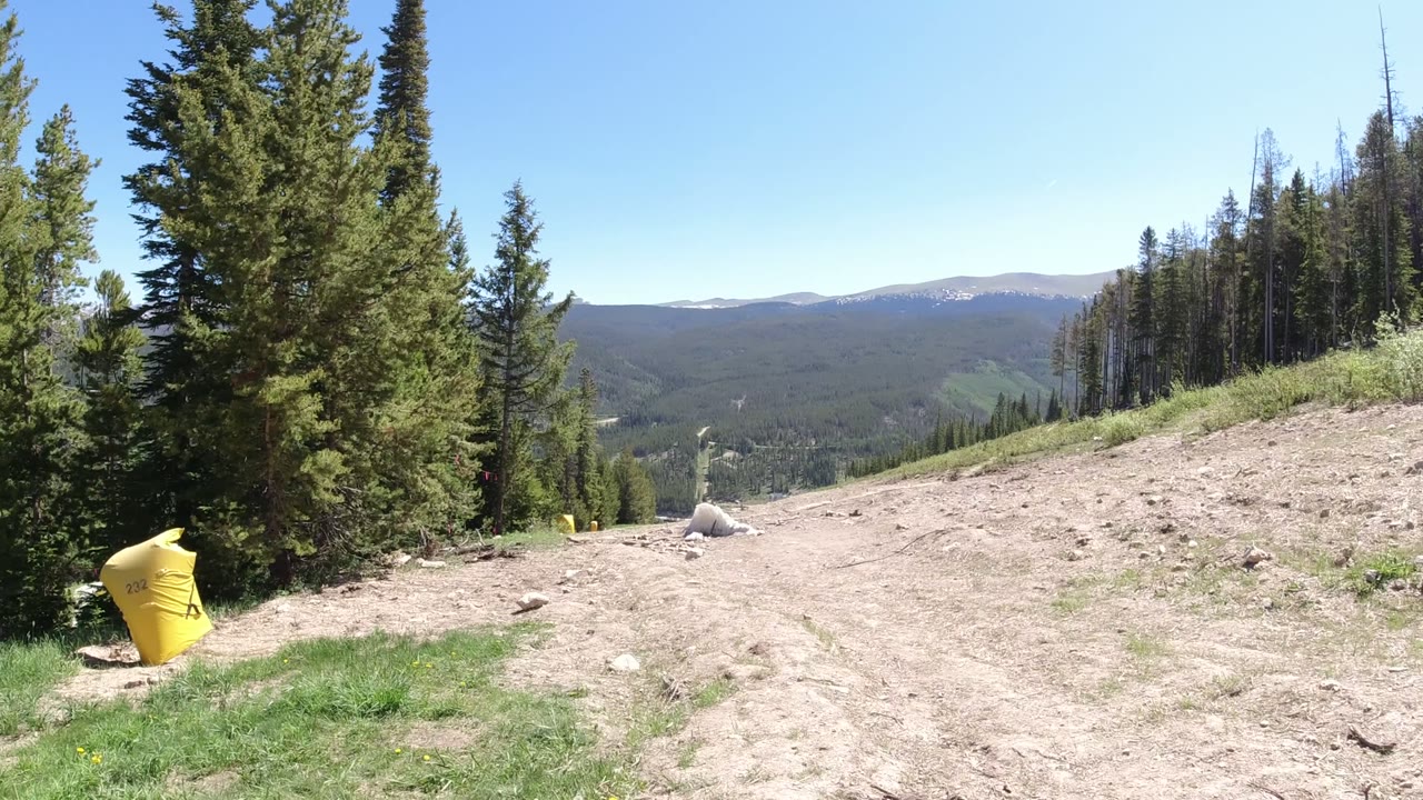 Dirt slope, evergreen trees, yellow padded marker, and distant mountains under blue sky.