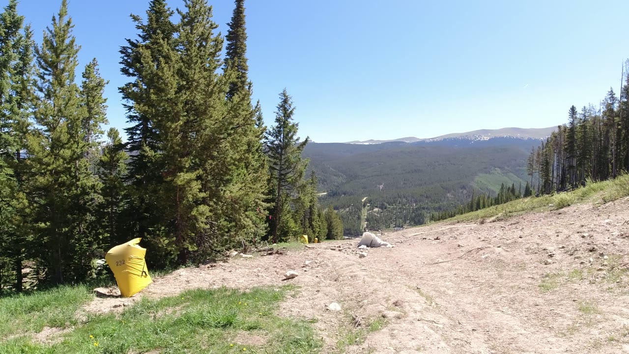 Winter Park, Colorado slope-side view with tall evergreens in the midground, dry dirt track, green grass, a yellow padded marker, distant ridges, and no visible people.