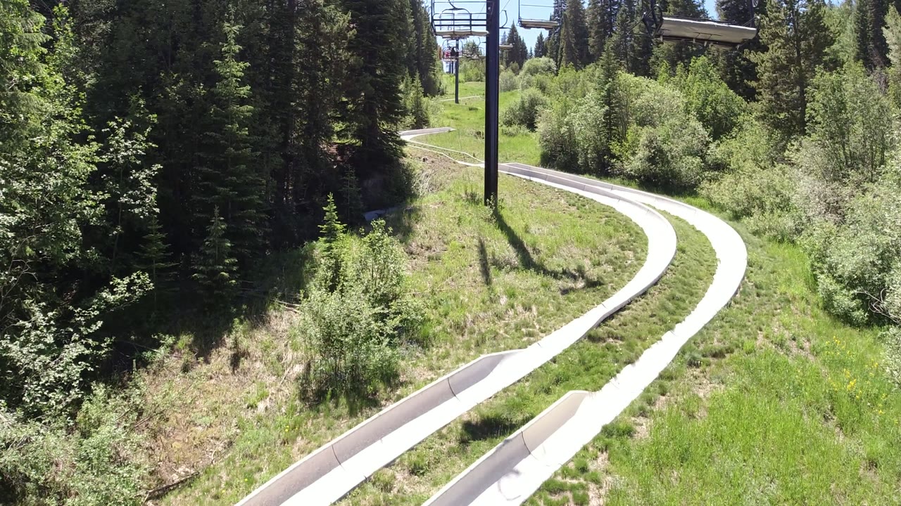 Curving pale track through green grass and trees beneath a chairlift.