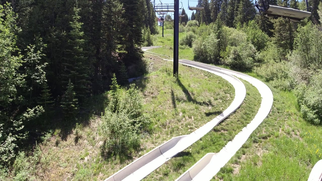 Winter Park, Colorado frame with the white track bending through a grassy slope, thick green shrubs in the midground, tall trees around it, chairlift structures above, and no visible people.