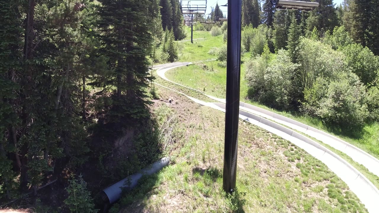 Curving paved road below tall evergreen trees and a dark foreground pole.