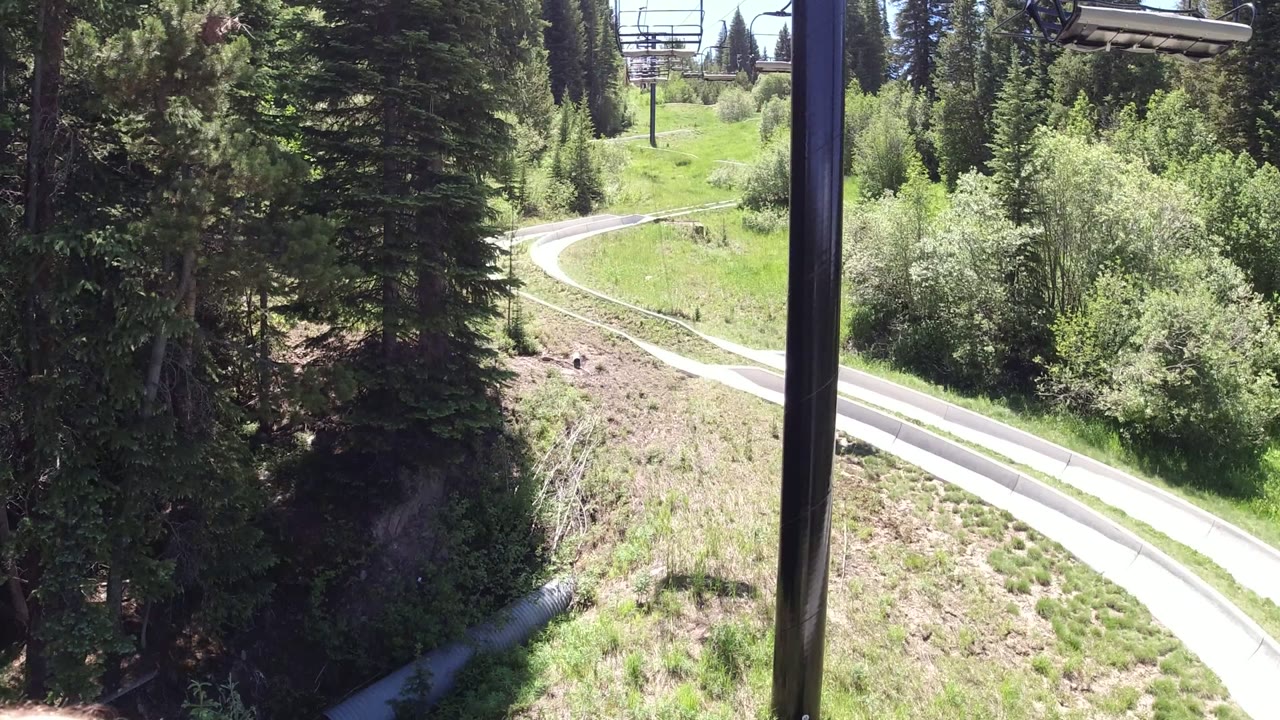 One second in, the Winter Park, Colorado view shows the road bending across a grassy slope, framed by evergreens, shrubs, a foreground support pole, and no visible people.