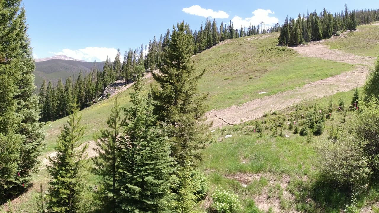 The Winter Park, Colorado view continues across a green hillside, with a large evergreen near center, dense pines on the ridge, distant mountains at left, and no visible people.