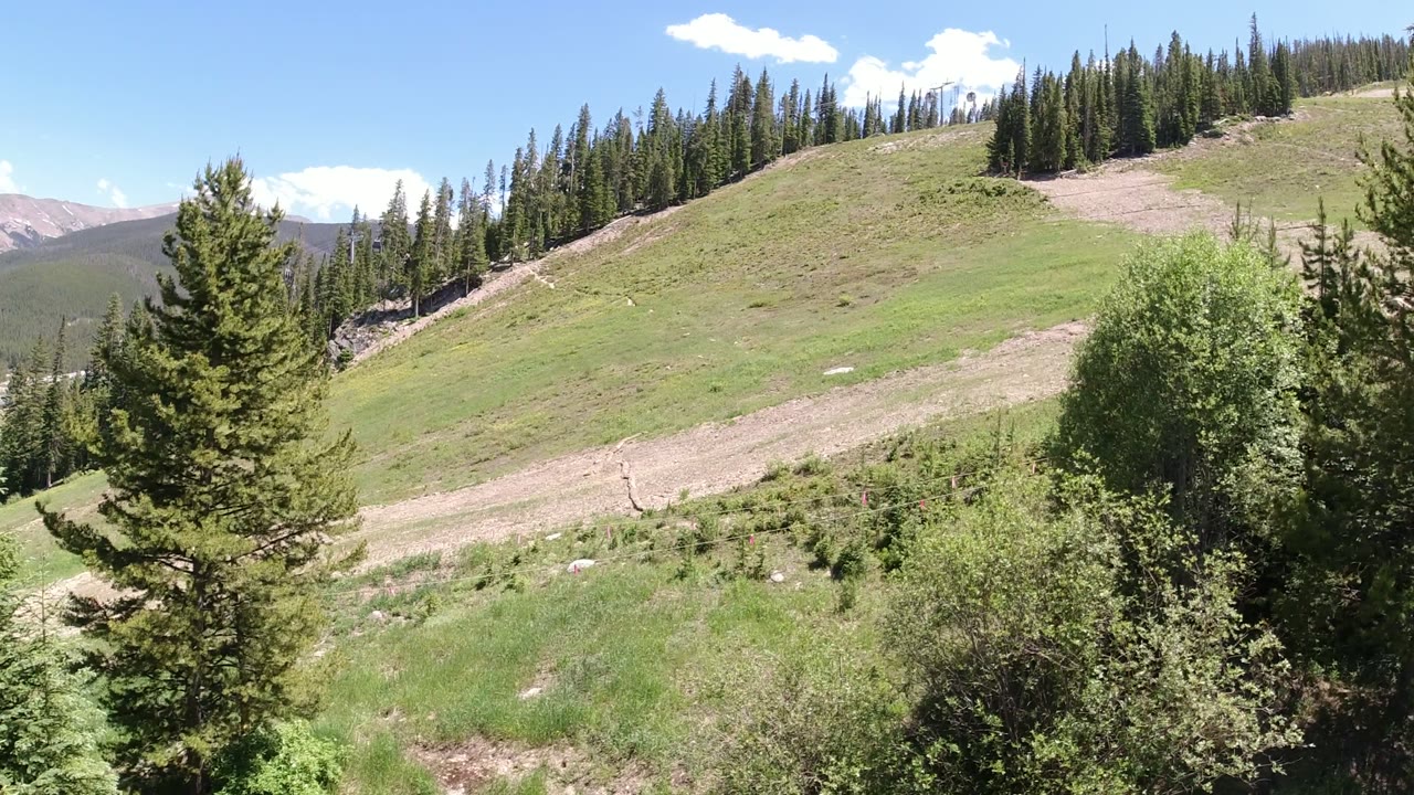Winter Park, Colorado hillside view with a tall evergreen near the foreground, brush at the bottom edge, conifers along the ridge, pale dirt patches, and no visible people.