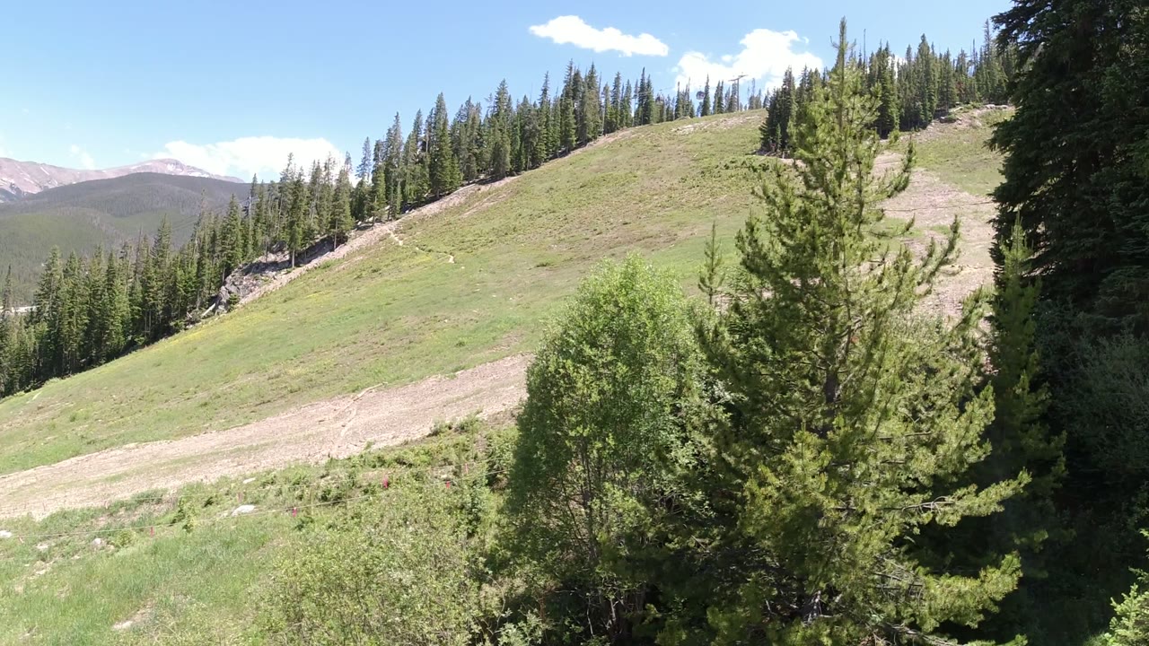 A Winter Park, Colorado dirt road cuts across the green slope, with a tall foreground conifer near center-right, darker trees at the edge, distant ridges, and no visible people.