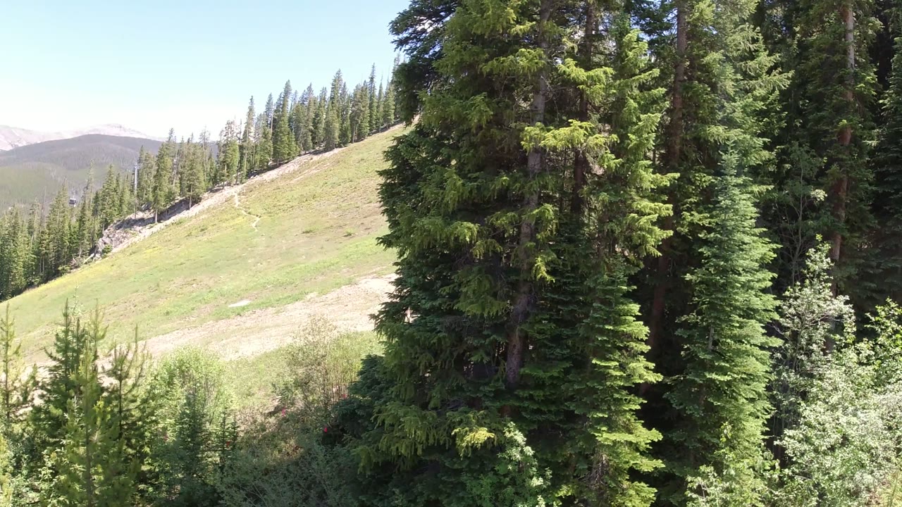 Winter Park, Colorado hillside view with dense conifers on the right, an open green slope on the left, distant mountain forms, and no visible people.