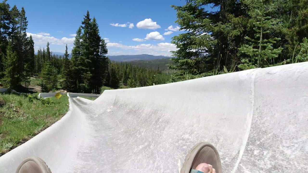 Concrete slide trough entering a curve through evergreen trees and grass.