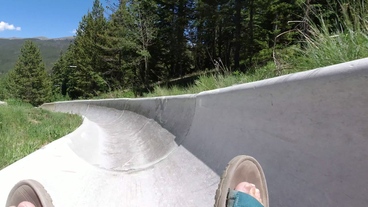 Pale slide track curving through pine trees with rider feet at the bottom edge.