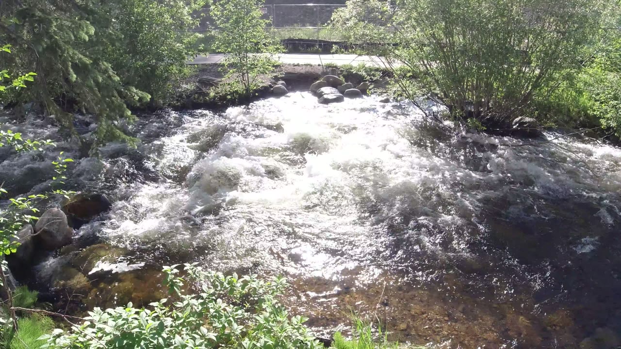 Fast river rapids bordered by green trees and bushes in bright sun.