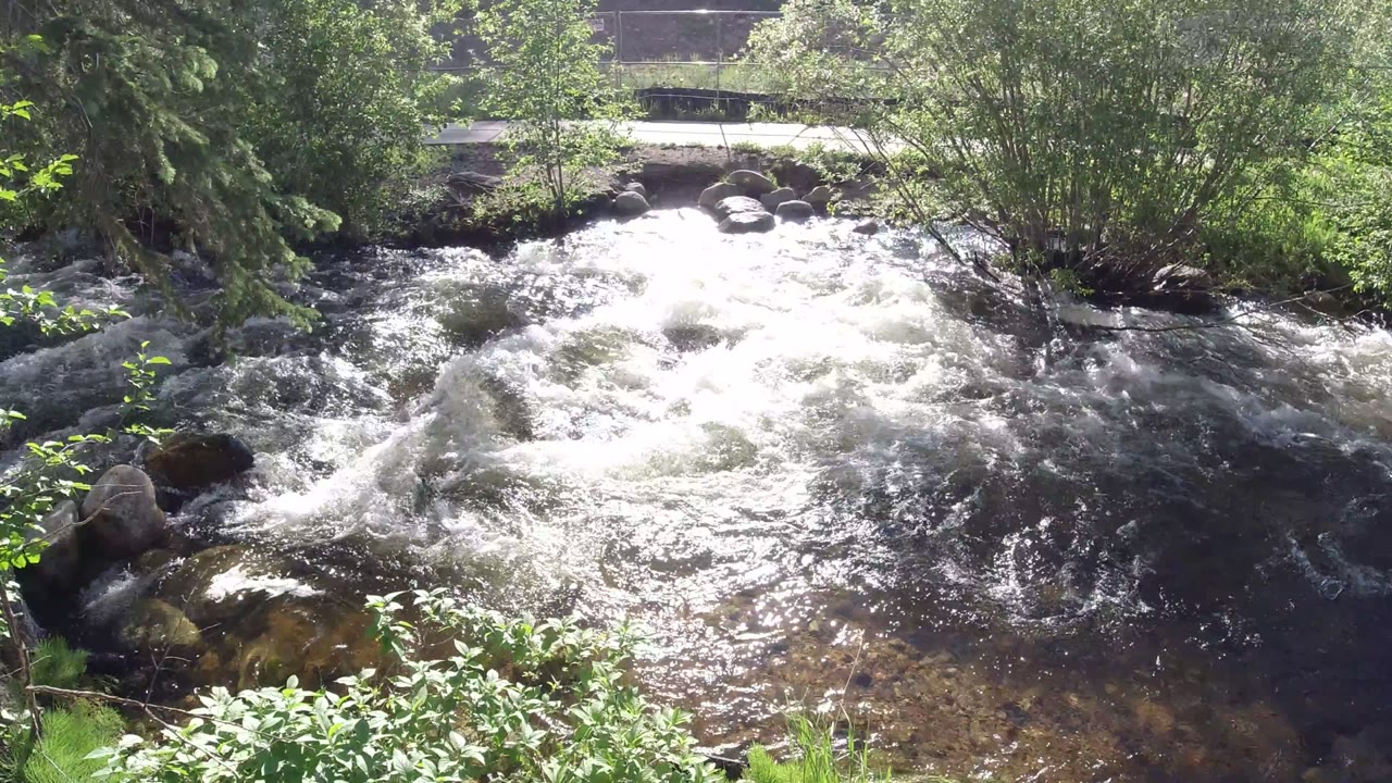 A brighter burst of whitewater fills the center of the Winter Park river frame, with shrubs, rocks, evergreen branches, a background path, and no visible people.