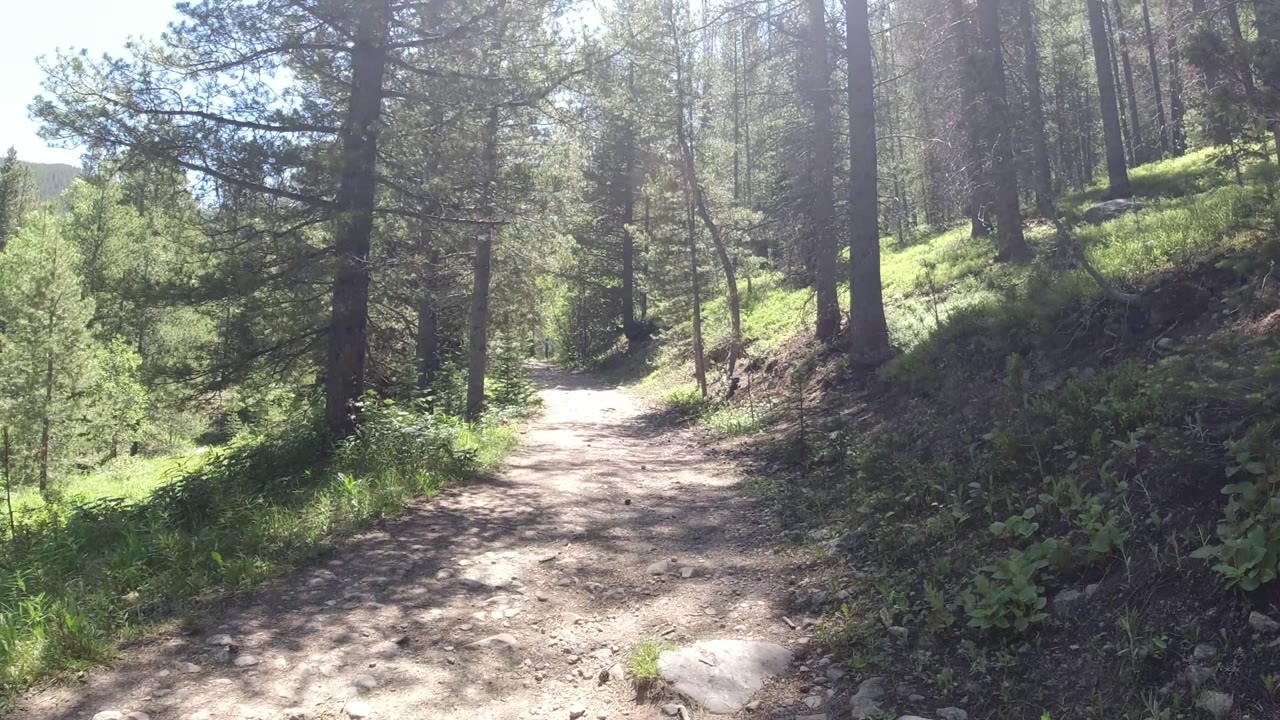 Winter Park, Colorado forest trail curving ahead between tall conifers and green undergrowth, with no visible people.