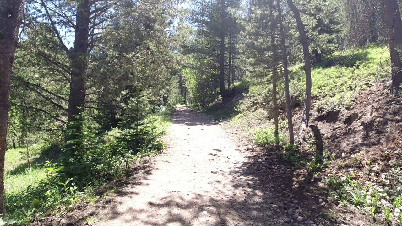 The trail continues ahead through Winter Park, Colorado woods, with bright sun washing the pale dirt path, conifers on both sides, low greenery, rocks, and no visible people.