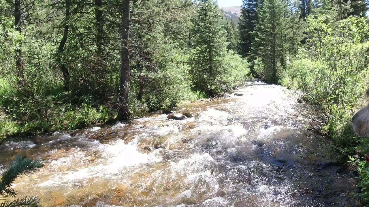 Foaming rapids fill the lower frame in Winter Park, Colorado, with dense evergreens and bright green brush along the bank and no visible people.