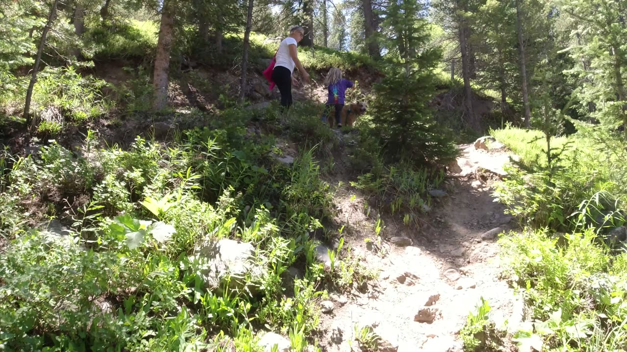 Woman and child on a wooded hillside trail.