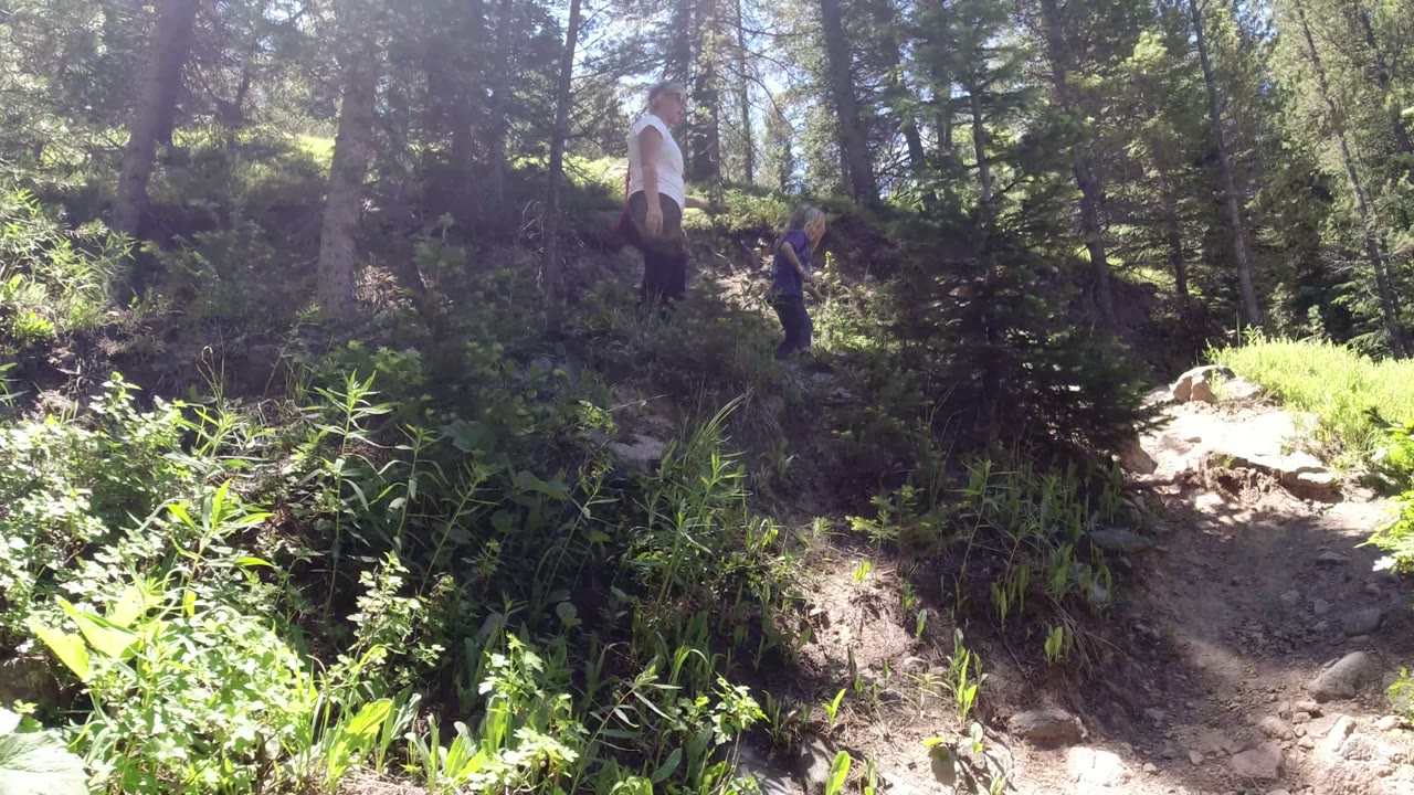The woman and child remain on the slope in Winter Park, Colorado, partly framed by tree trunks and shaded undergrowth.