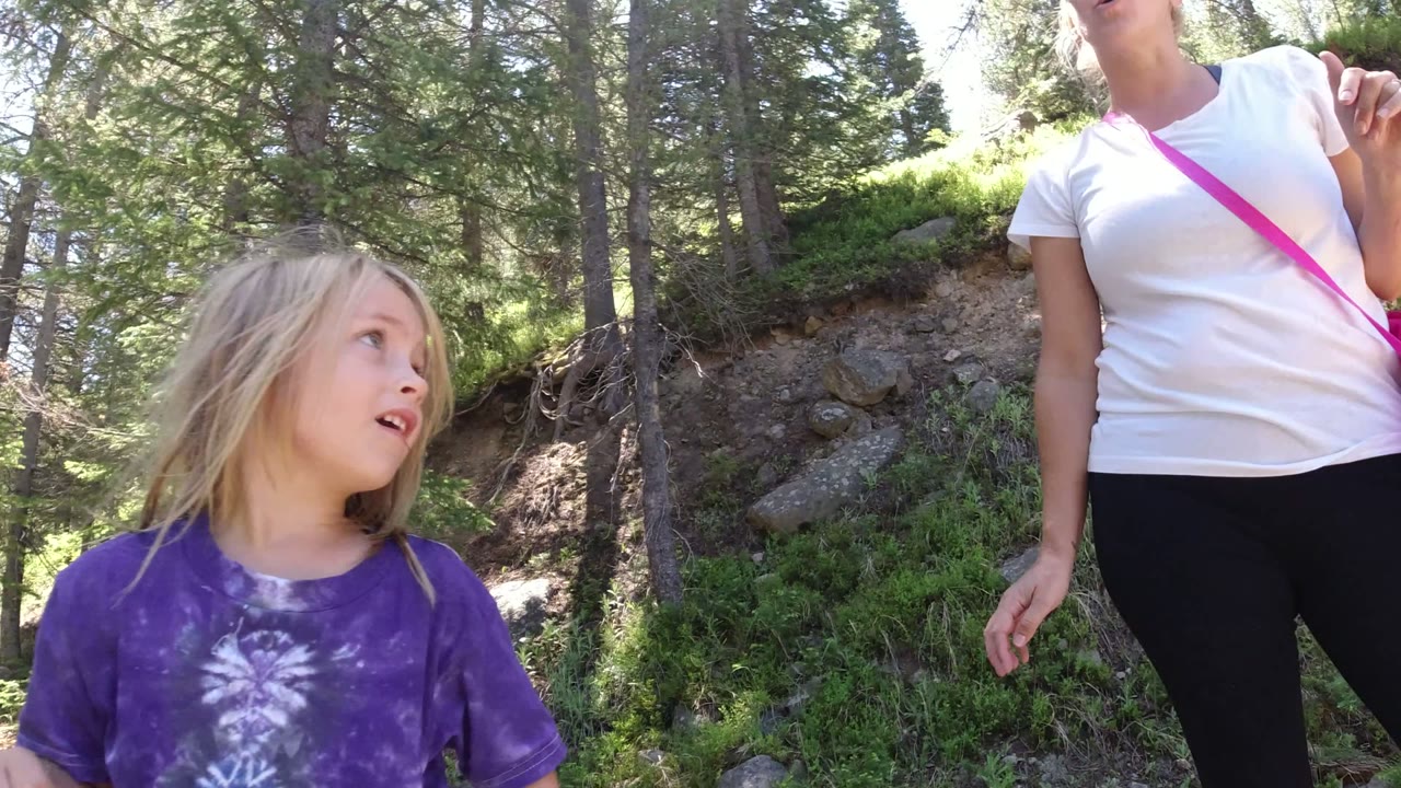 Child and adult on a sunny forest path