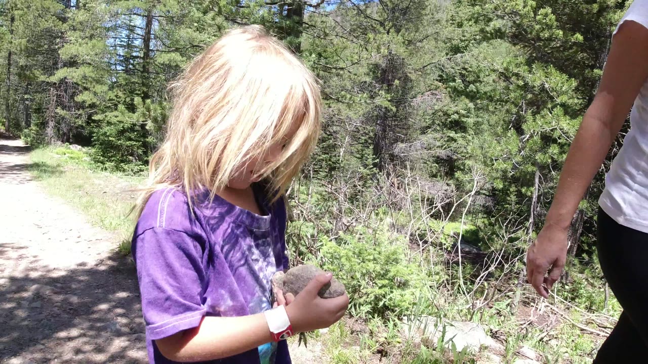 Young blonde girl in a purple shirt holds a gray rock near a dirt forest trail in Winter Park, Colorado, while an adult arm and torso are partly visible at the edge of the frame.