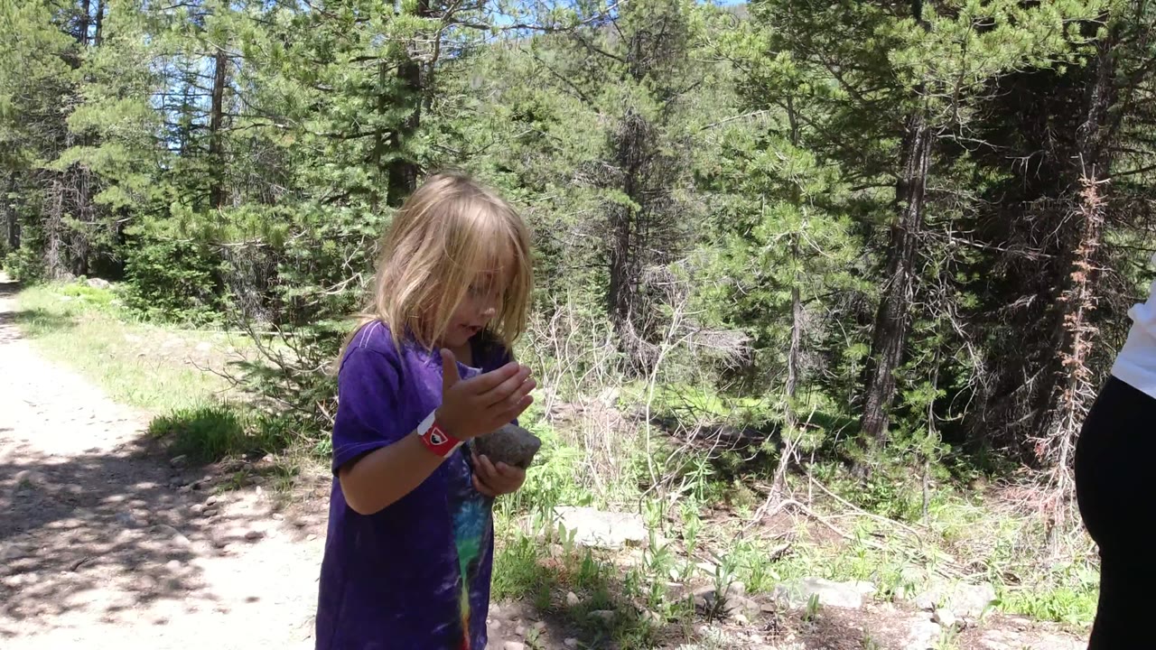 Young girl stands near the center of a sunlit dirt path in Winter Park, Colorado, looking down at a rock held in both hands with dense green trees behind her.