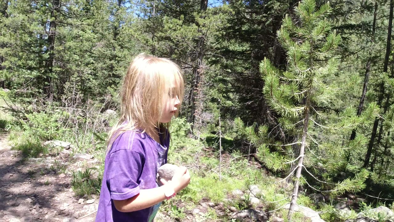 Blond child in a purple shirt beside a forest path