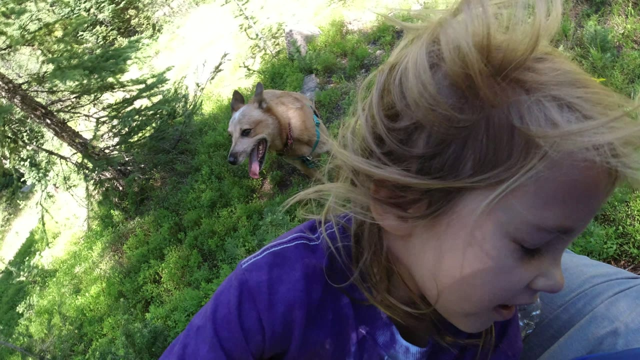 At 0:01 in Winter Park, Colorado, the blonde girl turns downward in the foreground while the tan dog remains in the shaded green midground under conifer branches.